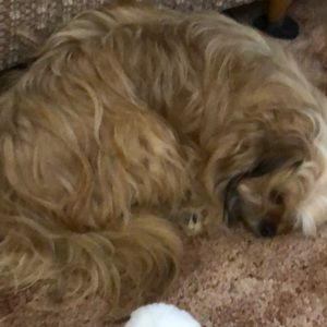 Meet your Posher, Kimberly